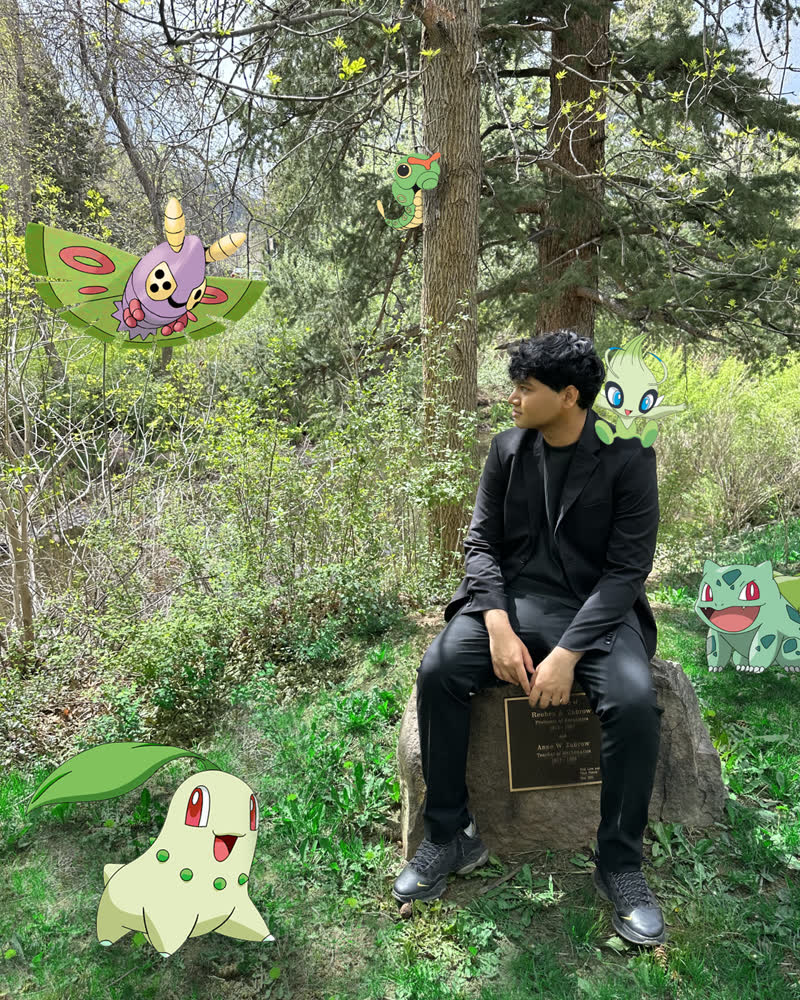 Shubhankar sitting on a stump in the woods, surrounded by grass-type Pokémon